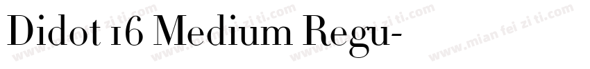 Didot 16 Medium Regu字体转换